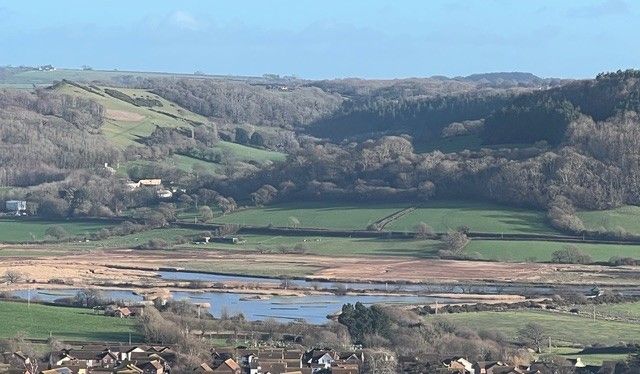 Panoramic view of Seaton Wetlands